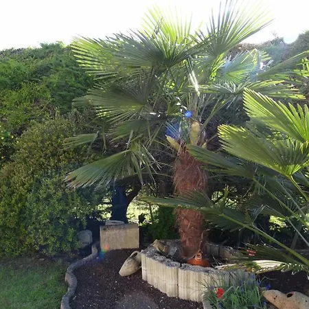 Avec Kichenette Soleil De Nacre Apartamento Hermanville-sur-Mer