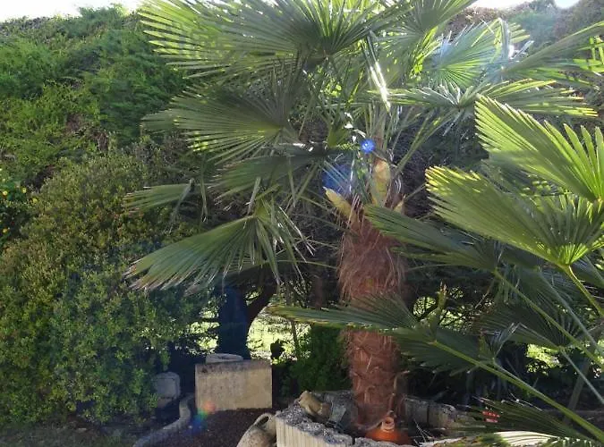 Avec Kichenette Soleil De Nacre شقة Hermanville-sur-Mer